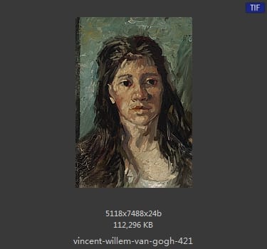 Vincent van Gogh