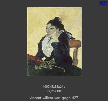 Vincent van Gogh