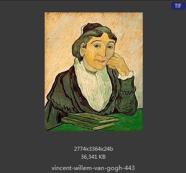 Vincent van Gogh