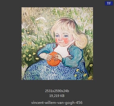 Vincent van Gogh