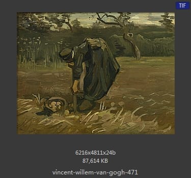Vincent van Gogh