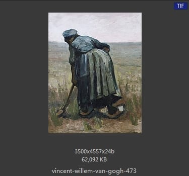 Vincent van Gogh