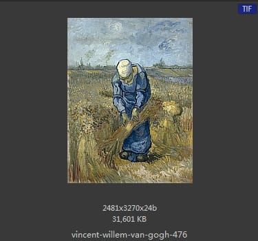 Vincent van Gogh