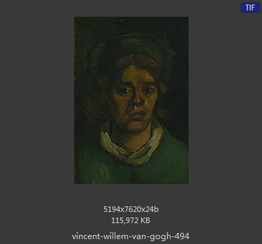 Vincent van Gogh