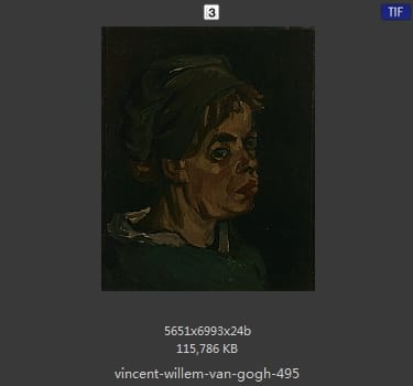 Vincent van Gogh