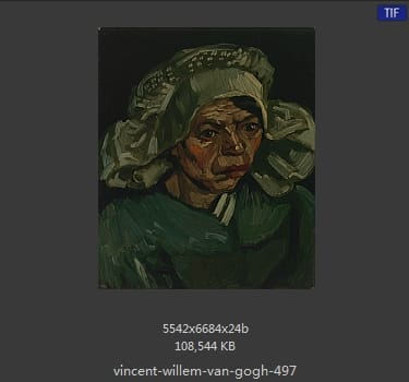 Vincent van Gogh