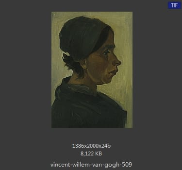 Vincent van Gogh