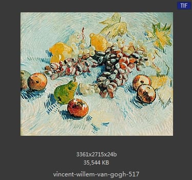 Vincent van Gogh