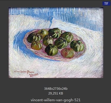 Vincent van Gogh