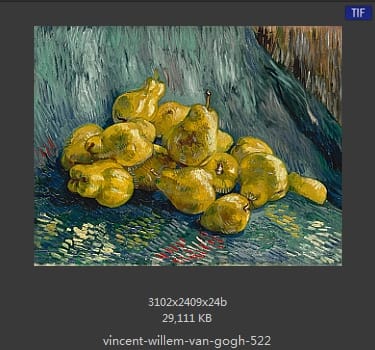 Vincent van Gogh