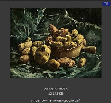 Vincent van Gogh