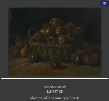 Vincent van Gogh