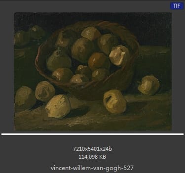 Vincent van Gogh