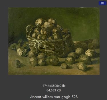 Vincent van Gogh