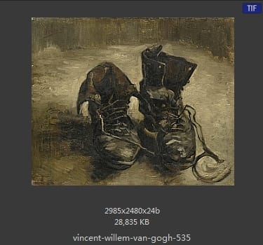 Vincent van Gogh
