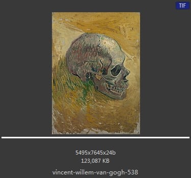 Vincent van Gogh