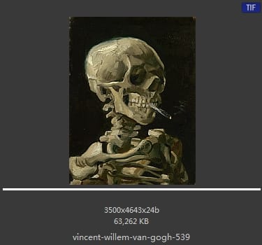Vincent van Gogh