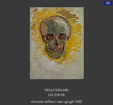 Vincent van Gogh