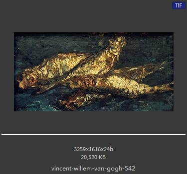 Vincent van Gogh