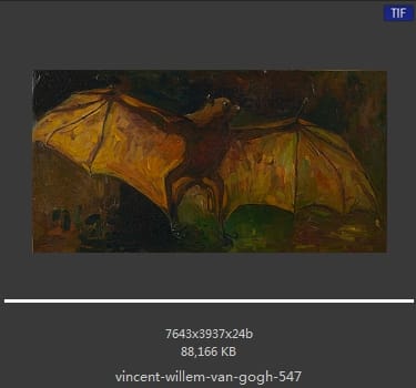Vincent van Gogh