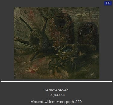 Vincent van Gogh