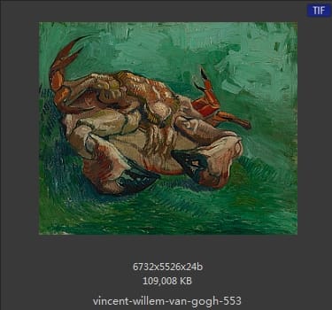 Vincent van Gogh