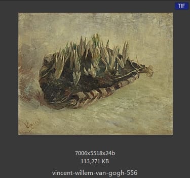 Vincent van Gogh