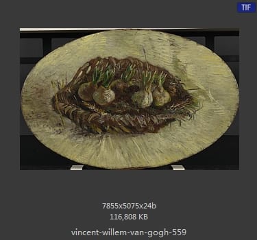 Vincent van Gogh