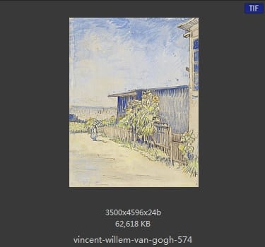 Vincent van Gogh