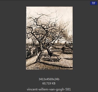 Vincent van Gogh