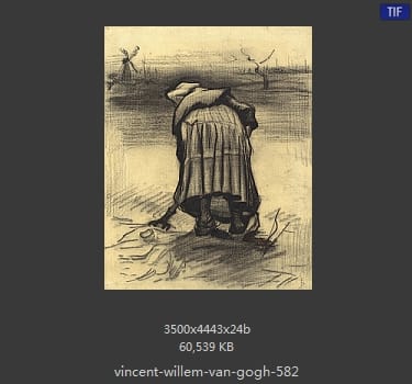 Vincent van Gogh