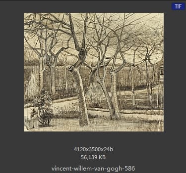 Vincent van Gogh
