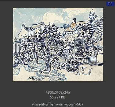 Vincent van Gogh