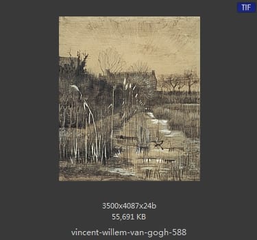 Vincent van Gogh