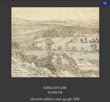 Vincent van Gogh