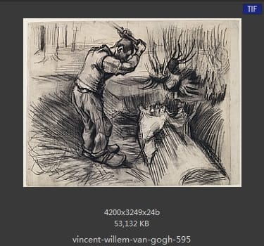 Vincent van Gogh