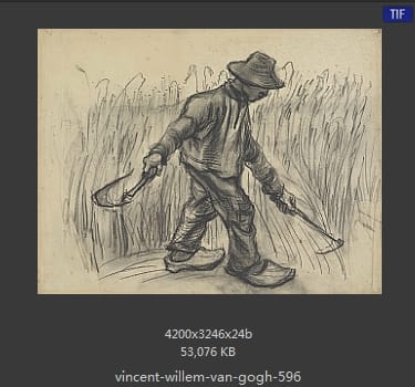Vincent van Gogh