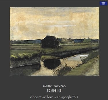 Vincent van Gogh