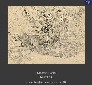 Vincent van Gogh
