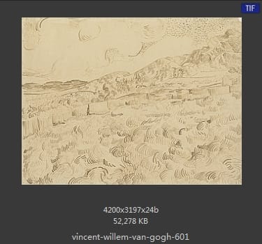 Vincent van Gogh