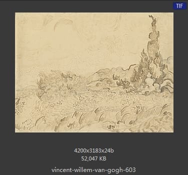 Vincent van Gogh