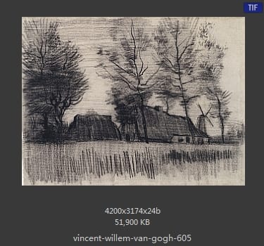 Vincent van Gogh