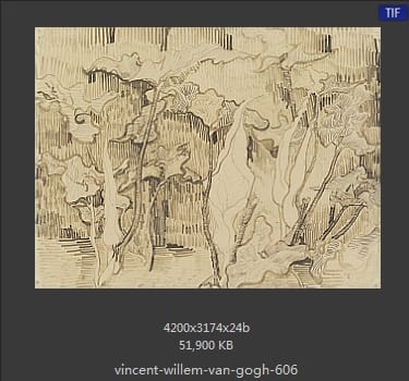 Vincent van Gogh