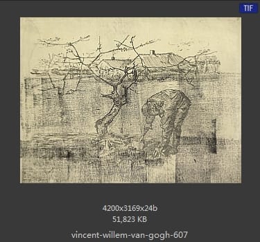 Vincent van Gogh