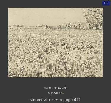 Vincent van Gogh