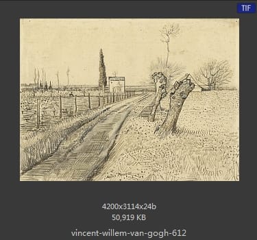 Vincent van Gogh