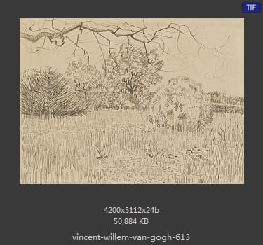 Vincent van Gogh