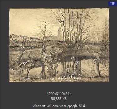 Vincent van Gogh