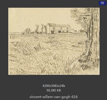 Vincent van Gogh