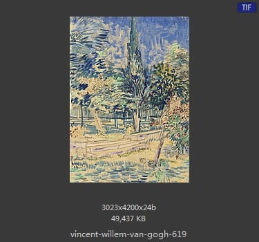Vincent van Gogh